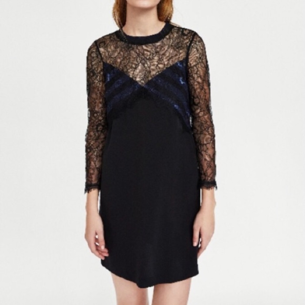 Zara Lace Yolk Long Sleeve Mini Dress!